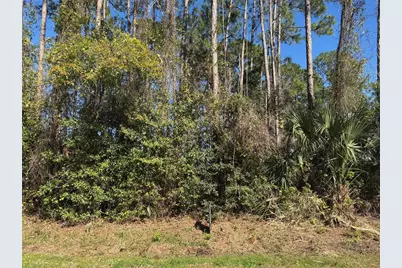 24 Brigadoon Lane, Palm Coast, FL 32137 - Photo 1