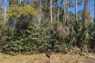 24 Brigadoon Ln, Palm Coast, FL 32137 - Photo 1