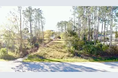 24 Barrington Drive, Palm Coast, FL 32137 - Photo 1