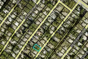 109 Brookside Ln, Palm Coast, FL 32137 - Photo 1