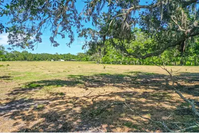 000 Cr65, Bunnell, FL 32110 - Photo 1