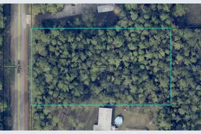 10230 Dillon Avenue, Hastings, FL 32145 - Photo 1