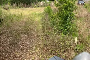 10775 Amos Ave, Hastings, FL 32145 - Photo 1