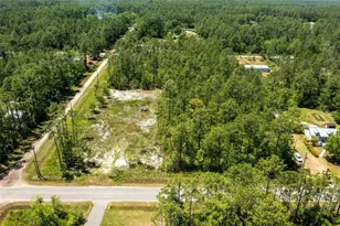 10165 Crotty Ave, Hastings, FL 32145 - Photo 1