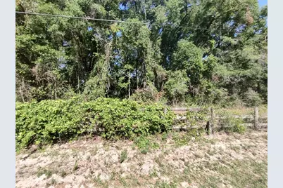 235 County Road 309, Satsuma, FL 32189 - Photo 1