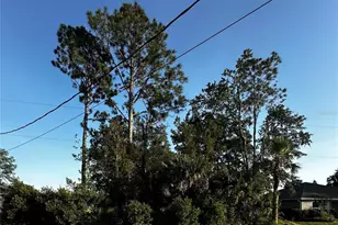 31 Palm Ln, Palm Coast, FL 32164 - Photo 1