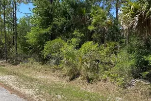 40 Radford Ln, Palm Coast, FL 32164 - Photo 1