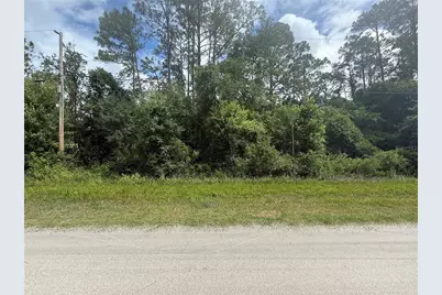 5670 Nutwood Avenue, Bunnell, FL 32110 - Photo 1