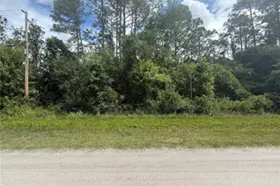 5670 Nutwood Ave, Bunnell, FL 32110 - Photo 1