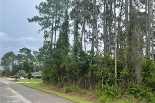 58 Brunett Ln, Palm Coast, FL 32137 - Photo 1