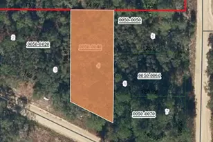 Xx Terrel St, Interlachen, FL 32148 - Photo 1