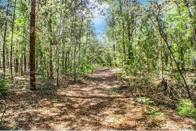 115 Coral Avenue, Interlachen, FL 32148 - Photo 1