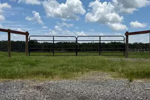 594 E County Rd 90, Bunnell, FL 32110 - Photo 1