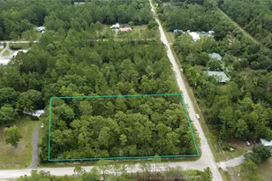 4694 Clove Ave, Bunnell, FL 32110 - Photo 1