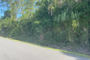 804 Fourth Street St, Bunnell, FL 32110 - Photo 1