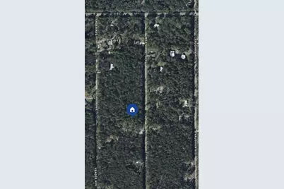 10105 Weatherby Avenue, Hastings, FL 32145 - Photo 1