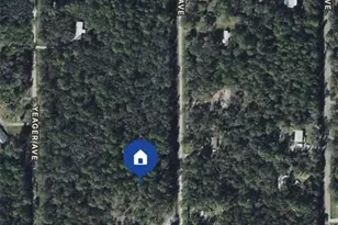 10105 Weatherby Ave, Hastings, FL 32145 - Photo 1