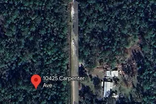 10425 Carpenter Ave, Hastings, FL 32145 - Photo 1