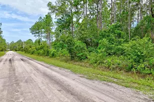 4168 Fruitwood Ave, Bunnell, FL 32110 - Photo 1