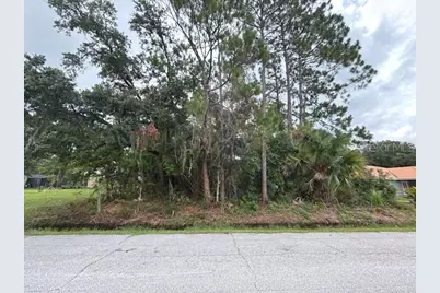 37 Princess Ruth Lane, Palm Coast, FL 32164 - Photo 1