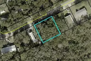 20 Shady Ln S, Palm Coast, FL 32137 - Photo 1