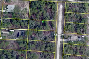 16491 Mercer Rd, Weeki Wachee, FL 34614 - Photo 1