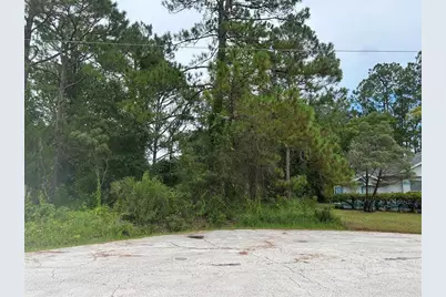 9 Rainrock Place, Palm Coast, FL 32164 - Photo 1