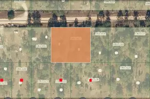 Xx Panama St, Interlachen, FL 32148 - Photo 1