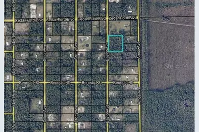 10420 Baylor Avenue, Hastings, FL 32145 - Photo 1