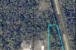 4800 Randolph St, Hastings, FL 32145 - Photo 1