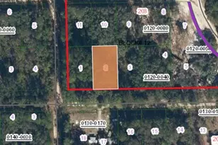 213 Highline Trail, Satsuma, FL 32189 - Photo 1