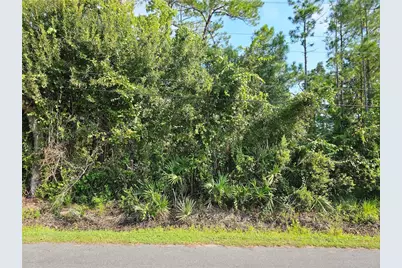 801 Franz Street, Bunnell, FL 32110 - Photo 1