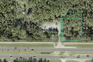 Xxx Sr100, Palm Coast, FL 32137 - Photo 1