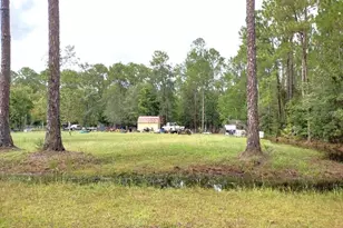 4408 Clove Ave, Bunnell, FL 32110 - Photo 1