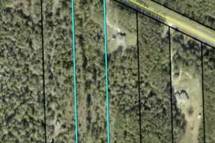 4389 W State Hwy 100, Bunnell, FL 32110 - Photo 1