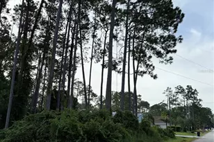 17 Egan Dr, Palm Coast, FL 32164 - Photo 1