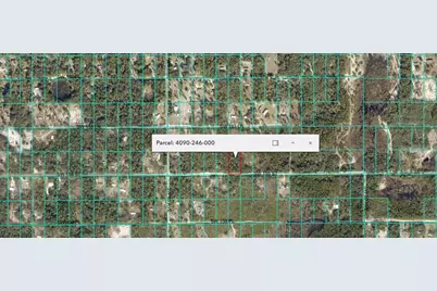 Sw 155th Street, Dunnellon, FL 34432 - Photo 1