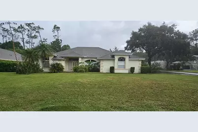 41 Creek Bluff Way, Ormond Beach, FL 32174 - Photo 1