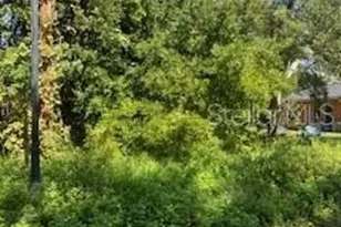 287 Selden Ave, Ormond Beach, FL 32174 - Photo 1