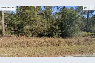 10350 Isaacson Avenue, Hastings, FL 32145 - Photo 1