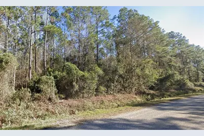 4375 Nancy Street, Hastings, FL 32145 - Photo 1