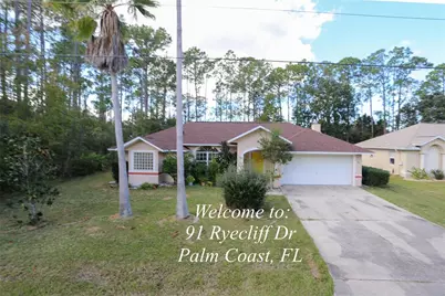 91 Ryecliffe Drive, Palm Coast, FL 32164 - Photo 1