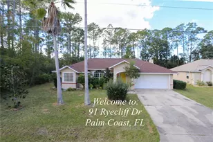 91 Ryecliffe Dr, Palm Coast, FL 32164 - Photo 1
