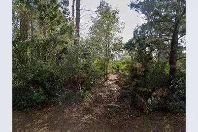 14 Second Path, Palm Coast, FL 32164 - Photo 1
