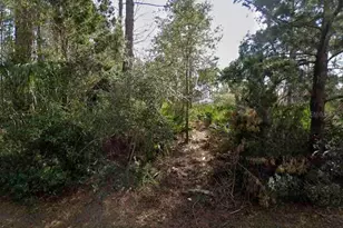 14 Second Path, Palm Coast, FL 32164 - Photo 1