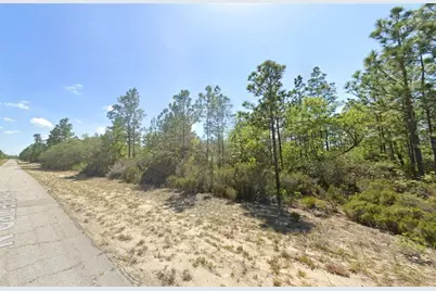 10660 N Caldera Avenue, Dunnellon, FL 34433 - Photo 1