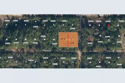 336 Gardenia Avenue, Georgetown, FL 32139 - Photo 1