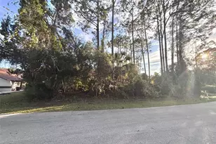 80 Raemoor Dr, Palm Coast, FL 32164 - Photo 1