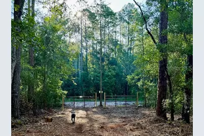 10535 Flikkema Ave, Hastings, FL 32145 - Photo 1