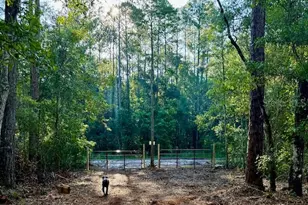 10535 Flikkema Ave, Hastings, FL 32145 - Photo 1